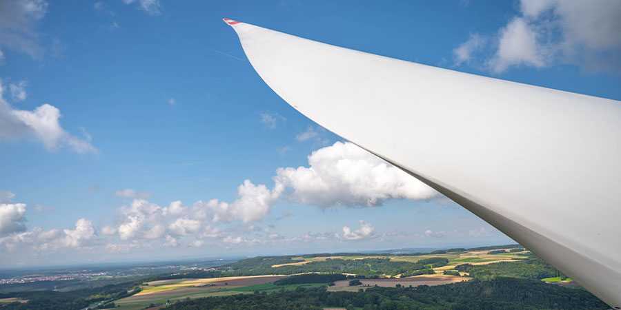 Beratung Artenschutz in Windparks